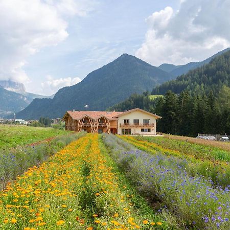 Eco-Green Fiores Agriturismo فيغو دي فاسا المظهر الخارجي الصورة