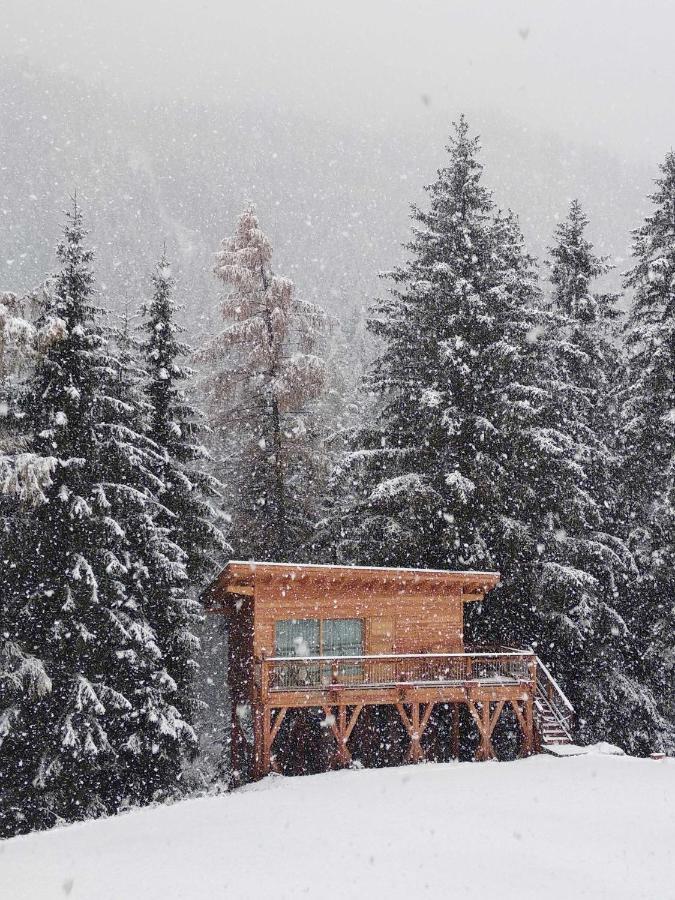 Eco-Green Fiores Agriturismo فيغو دي فاسا المظهر الخارجي الصورة