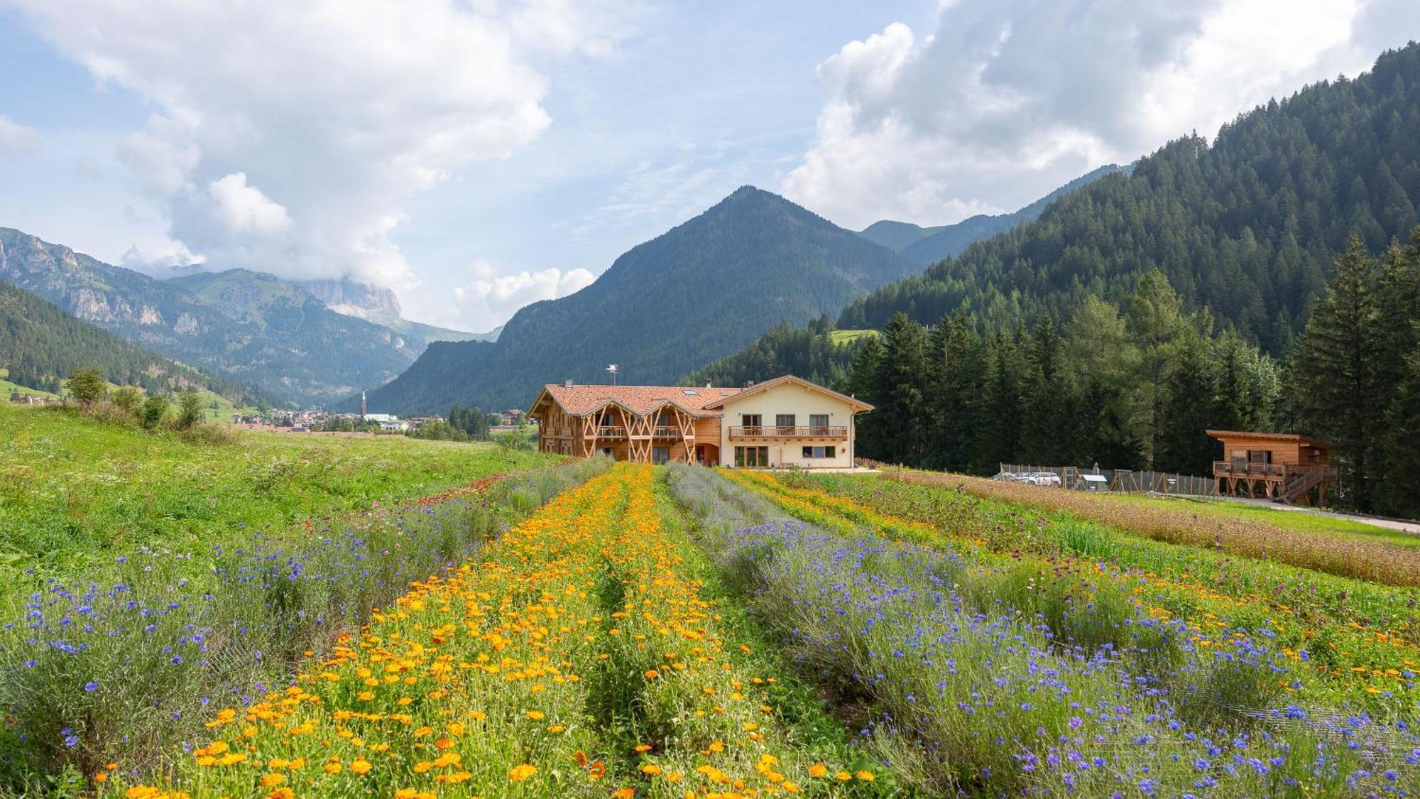 Eco-Green Fiores Agriturismo فيغو دي فاسا المظهر الخارجي الصورة